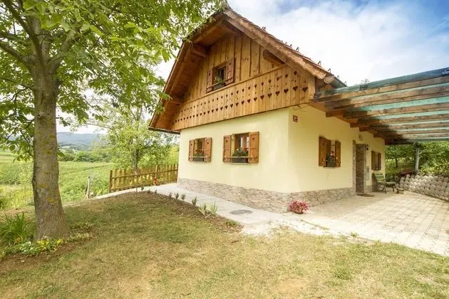 Kır Evi (Country House Srček with  Vineyard V)