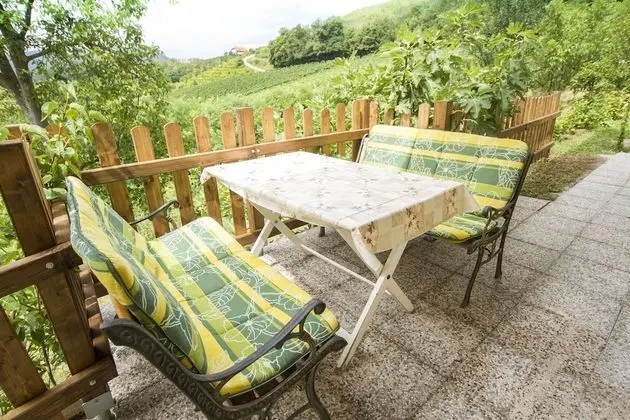 Kır Evi (Country House Srček with  Vineyard V)