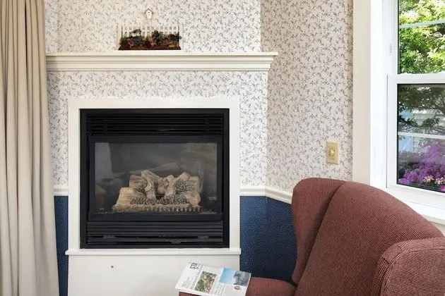King Deluxe Fireplace - Not Pet Friendly