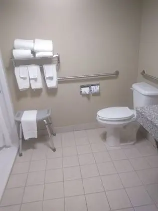 Oda, 1 Büyük (Queen) Boy Yatak, Engellilere Uygun, Sigara İçilmez (Roll-in Shower)
