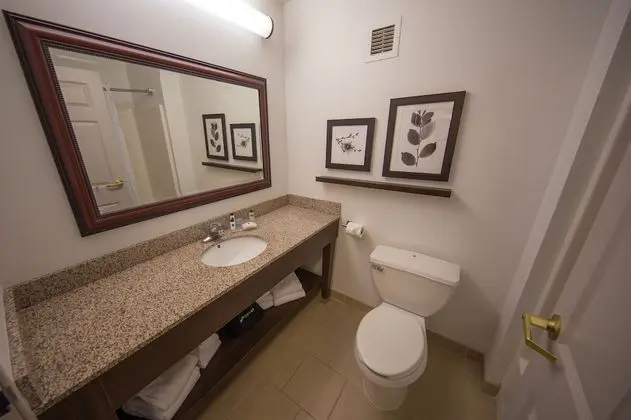 Süit, 1 Yatak Odası, Engellilere Uygun, Sigara İçilmez