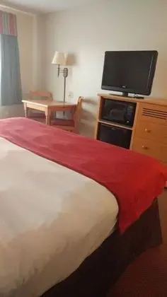 Oda, 1 En Büyük (King) Boy Yatak, Sigara İçilmez