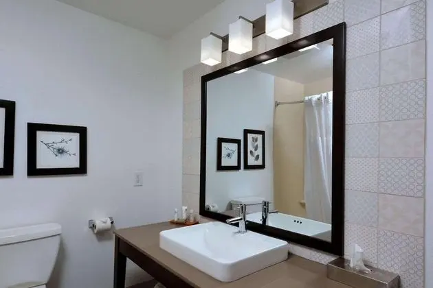 Oda, 1 En Büyük (King) Boy Yatak, Engellilere Uygun, Sigara İçilmez (Roll-in Shower)
