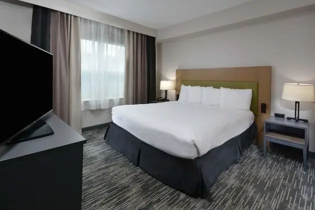 Premium Süit, 1 En Büyük (King) Boy Yatak, Sigara İçilmez