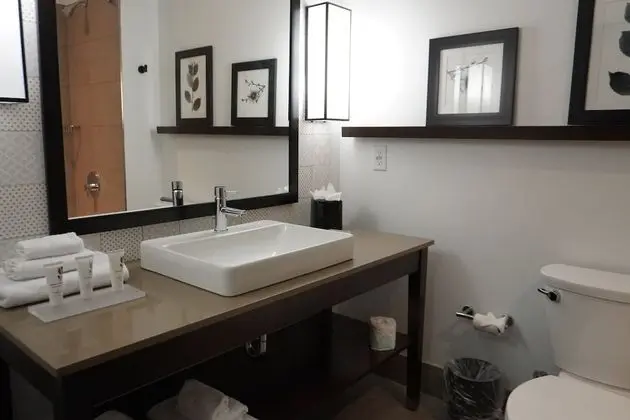 Oda, 1 En Büyük (King) Boy Yatak, Engellilere Uygun, Sigara İçilmez (Roll-in Shower)