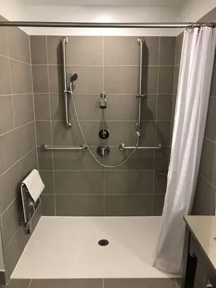 Oda, 1 En Büyük (King) Boy Yatak, Sigara İçilmez (Roll-in Shower)