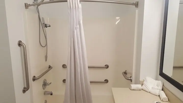 Oda, 1 En Büyük (King) Boy Yatak, Engellilere Uygun, Sigara İçilmez (Roll-in Shower)