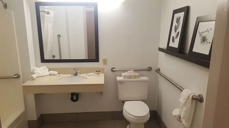 Oda, 1 En Büyük (King) Boy Yatak, Engellilere Uygun, Sigara İçilmez (Roll-in Shower)