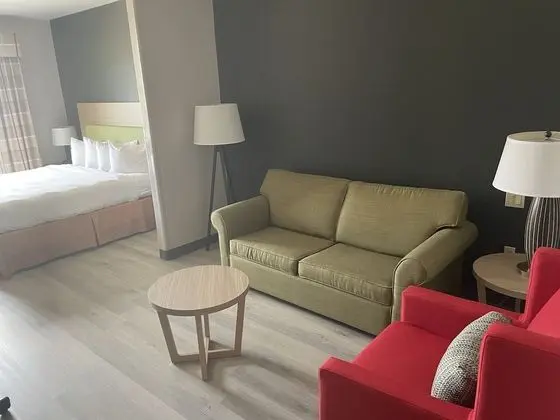 Stüdyo Süit, 1 En Büyük (King) Boy Yatak, Sigara İçilmez