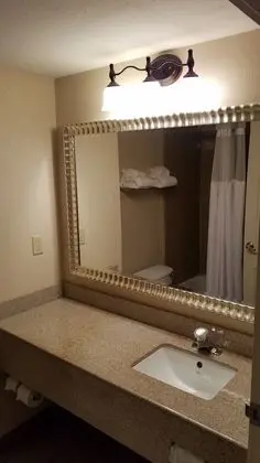 Oda, 1 En Büyük (King) Boy Yatak, Engellilere Uygun, Sigara İçilmez (Roll-in Shower)