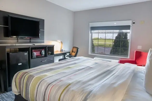 Oda, 1 En Büyük (King) Boy Yatak, Engellilere Uygun, Sigara İçilmez