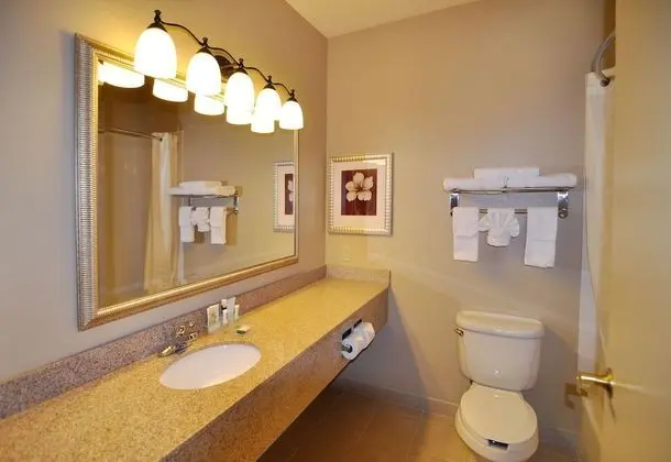 Süit, 1 En Büyük (King) Boy Yatak, Sigara İçilmez, Sıcak Su Küveti