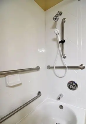 Süit, 1 Yatak Odası, Engellilere Uygun, Sigara İçilmez