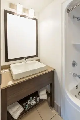 Süit, 1 Yatak Odası, Sigara İçilmez