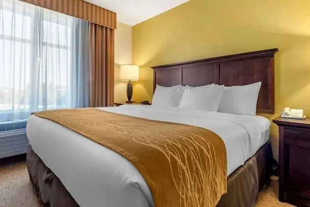 Süit, 1 En Büyük (King) Boy Yatak ve Çekyat, Sigara İçilmez (Large Room)