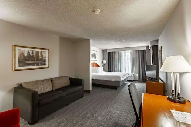 Stüdyo Süit, 1 En Büyük (King) Boy Yatak, Sigara İçilmez