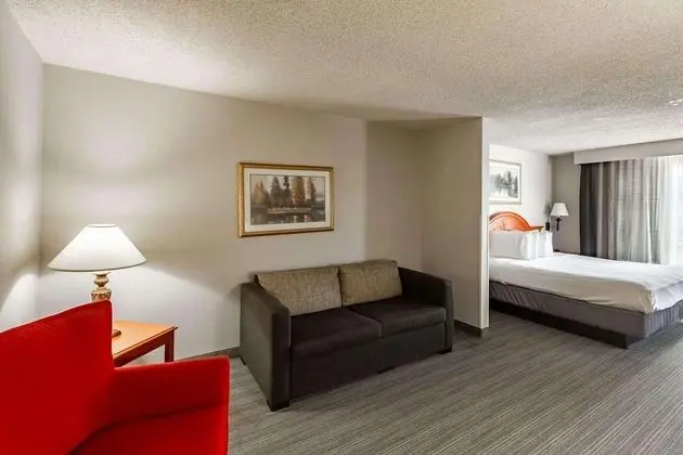 Stüdyo Süit, 1 En Büyük (King) Boy Yatak, Sigara İçilmez