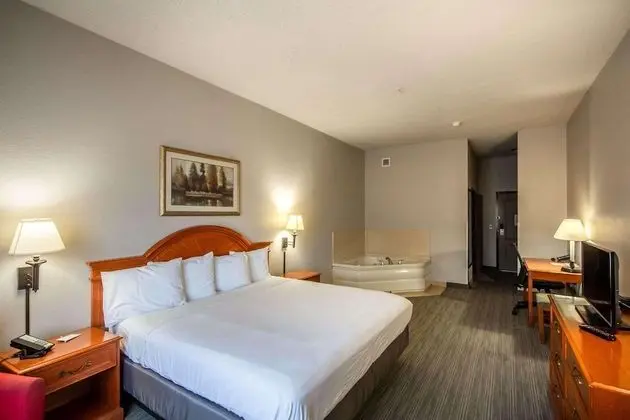 Süit, 1 En Büyük (King) Boy Yatak, Engellilere Uygun, Sigara İçilmez (Non Smoking)