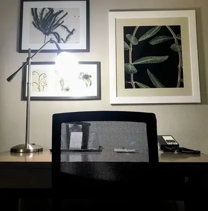 Süit, 1 Yatak Odası, Sigara İçilmez