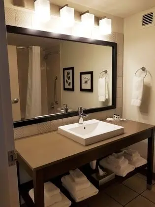 Süit, 1 Yatak Odası, Sigara İçilmez