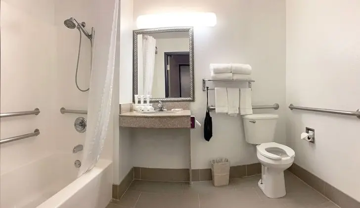 Süit, 1 Yatak Odası, Engellilere Uygun, Sigara İçilmez