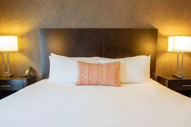 Oda, 1 En Büyük (King) Boy Yatak, Sigara İçilmez