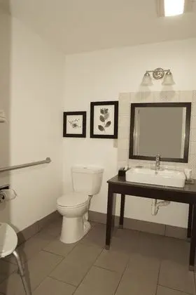 Oda, 1 En Büyük (King) Boy Yatak, Engellilere Uygun, Sigara İçilmez (Roll-in Shower)