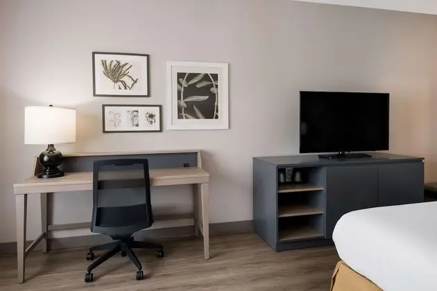 Oda, 1 En Büyük (King) Boy Yatak, Sigara İçilmez (Pet Friendly)