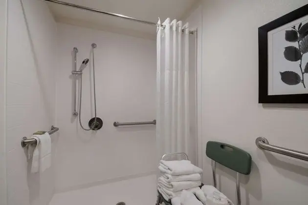 Süit, 1 Yatak Odası, Engellilere Uygun, Sigara İçilmez (Roll-in Shower)