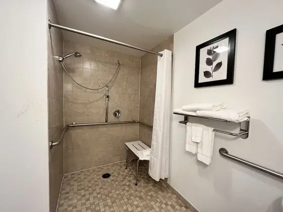 Oda, 1 En Büyük (King) Boy Yatak, Engellilere Uygun, Sigara İçilmez (Roll-in Shower)