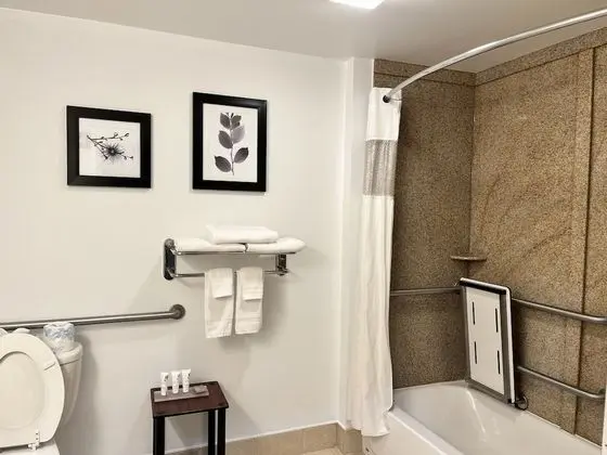 Oda, 1 En Büyük (King) Boy Yatak, Engellilere Uygun, Sigara İçilmez (Roll-in Shower)