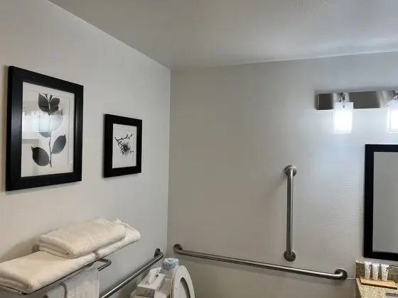 Oda, 1 En Büyük (King) Boy Yatak, Engellilere Uygun, Sigara İçilmez (Roll-in Shower)