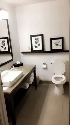 Stüdyo Süit, 1 En Büyük (King) Boy Yatak, Sigara İçilmez