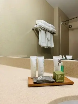 Oda, 1 En Büyük (King) Boy Yatak, Engellilere Uygun, Sigara İçilmez