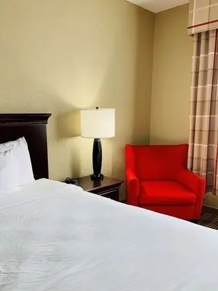 Süit, 1 Yatak Odası, Sigara İçilmez