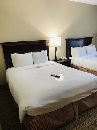 Süit, 1 Yatak Odası, Sigara İçilmez