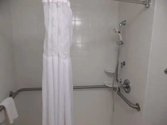 Oda, 1 Büyük (Queen) Boy Yatak, Engellilere Uygun, Sigara İçilmez (Roll-in Shower)