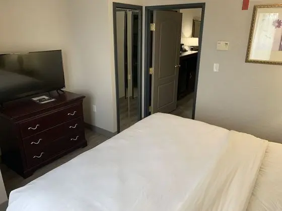 Süit, 1 En Büyük (King) Boy Yatak ve Çekyat, Sigara İçilmez (1 Kingbed)