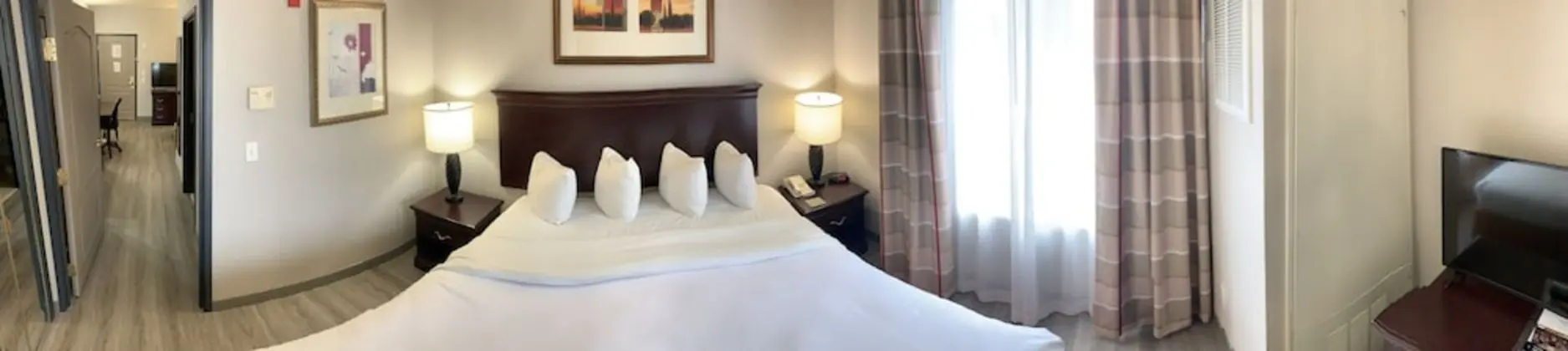 Süit, 1 En Büyük (King) Boy Yatak ve Çekyat, Sigara İçilmez (1 Kingbed)