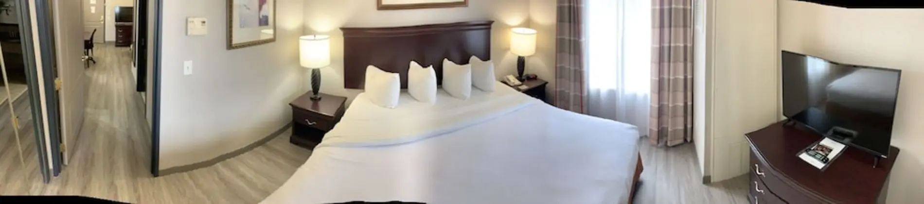 Süit, 1 En Büyük (King) Boy Yatak ve Çekyat, Sigara İçilmez (1 Kingbed)