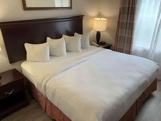 Süit, 1 En Büyük (King) Boy Yatak ve Çekyat, Sigara İçilmez (1 Kingbed)
