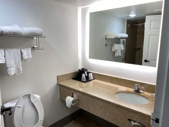 Standard Oda, 1 En Büyük (King) Boy Yatak, Sigara İçilmez, Buzdolabı ve Mikrodalga