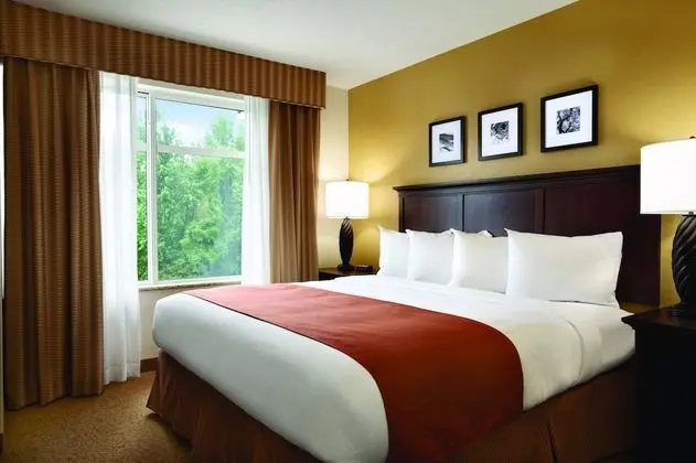 King Room, Stüdyo Süit, 1 En Büyük (King) Boy Yatak, Sigara İçilmez
