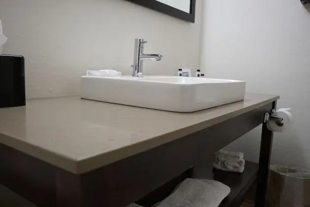 Süit, 1 Yatak Odası, Engellilere Uygun, Sigara İçilmez (Roll-in Shower)