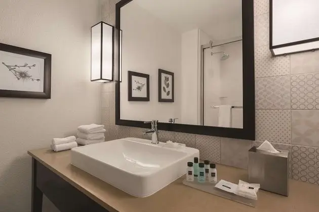 Oda, 1 En Büyük (King) Boy Yatak, Engellilere Uygun, Sigara İçilmez (Roll-in Shower)