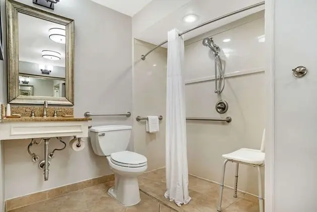 Oda, 1 En Büyük (King) Boy Yatak, Engellilere Uygun, Sigara İçilmez (Roll-in Shower)