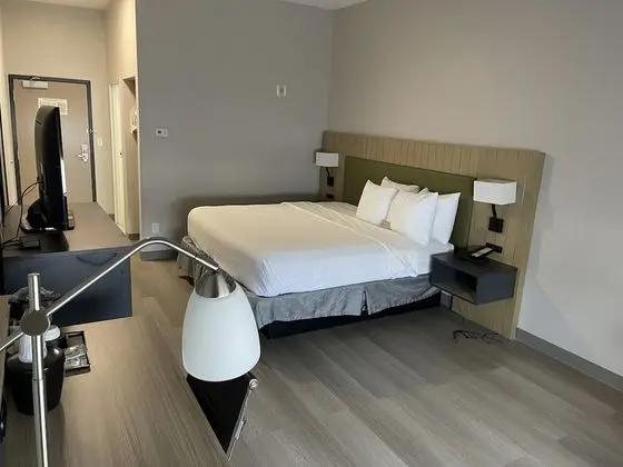 Oda, 1 En Büyük (King) Boy Yatak, Engellilere Uygun, Sigara İçilmez