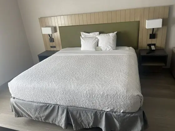 Oda, 1 En Büyük (King) Boy Yatak, Engellilere Uygun, Sigara İçilmez