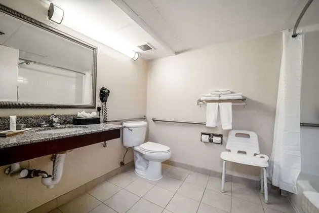 Stüdyo Süit, 1 En Büyük (King) Boy Yatak, Engellilere Uygun, Sigara İçilmez (Roll-in Shower)