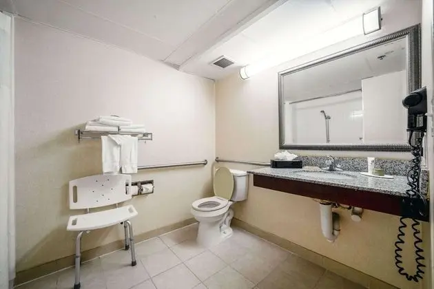 Stüdyo Süit, 1 En Büyük (King) Boy Yatak, Engellilere Uygun, Sigara İçilmez (Roll-in Shower)